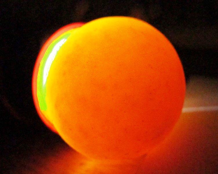 Snapping turtle eggs