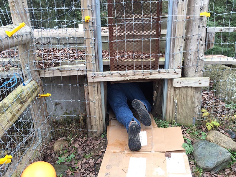 Scott installing cam in bunker den