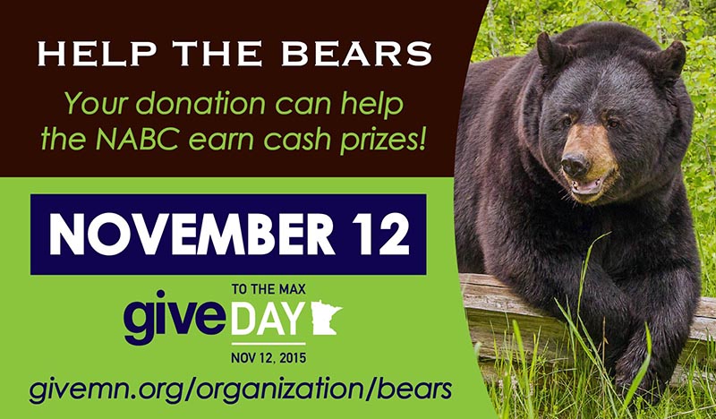 https://givemn.org/organization/bears