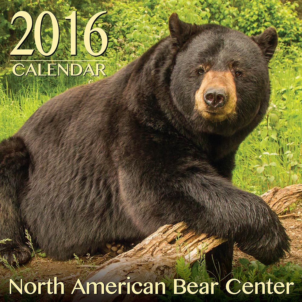 2016 Calendar Cover