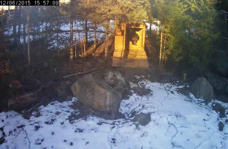 Ted enjoying the sunshine