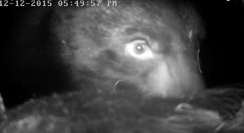 Holly fixing the lens