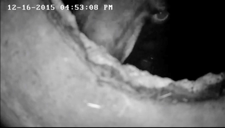 The results of Holly's curiosity, and it even got worse