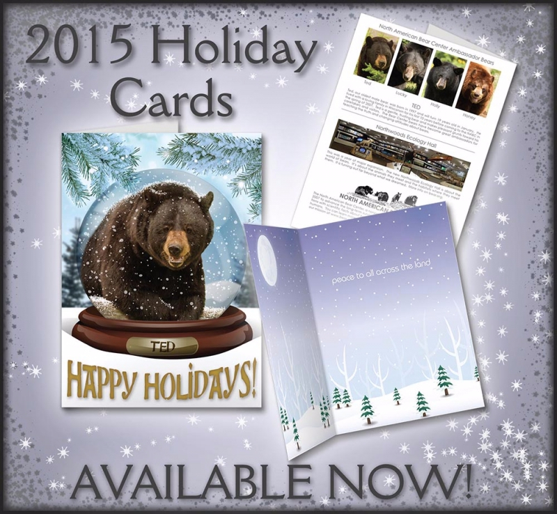 Holiday Cards Now Available!