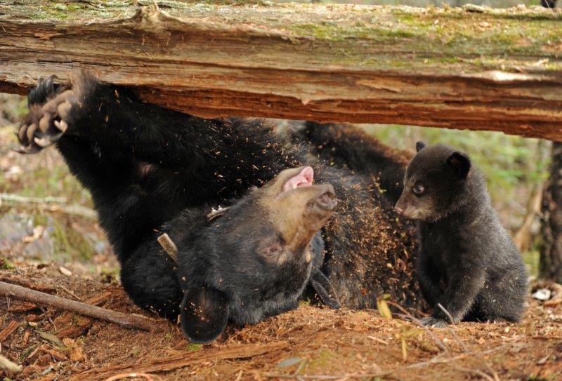 Lily being silly - 3/27/2010