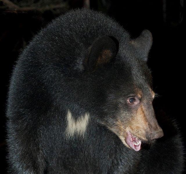 Geneva on Sept. 29, 2015