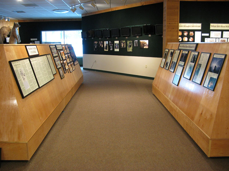 Exhibit platforms with displays in place