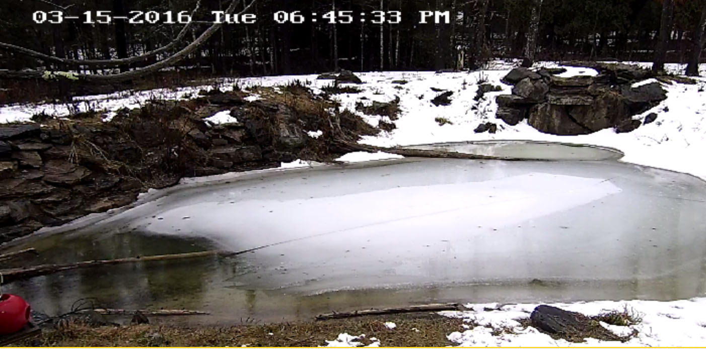 Melting pond at the NABC