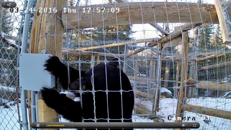 Holly getting into trouble