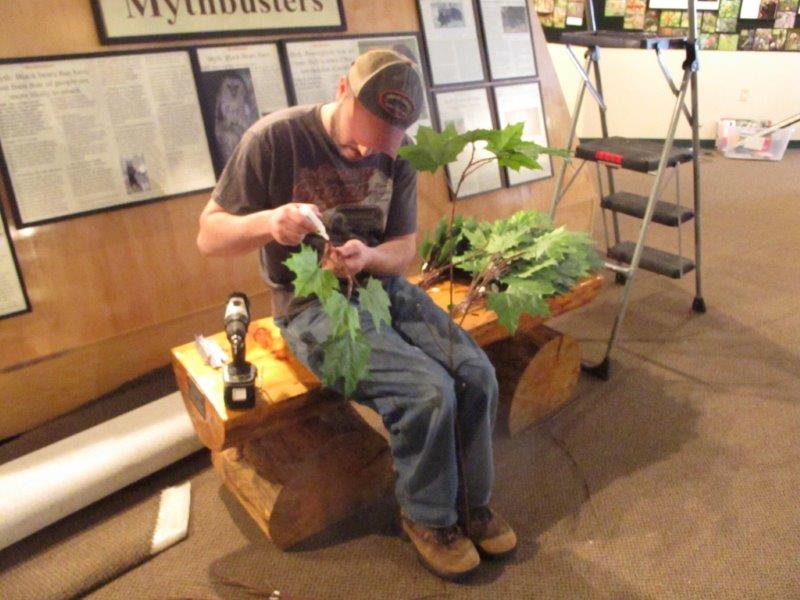 Camping with bears exhibit