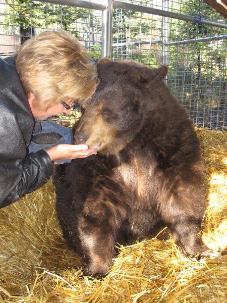 Honey with Cindy