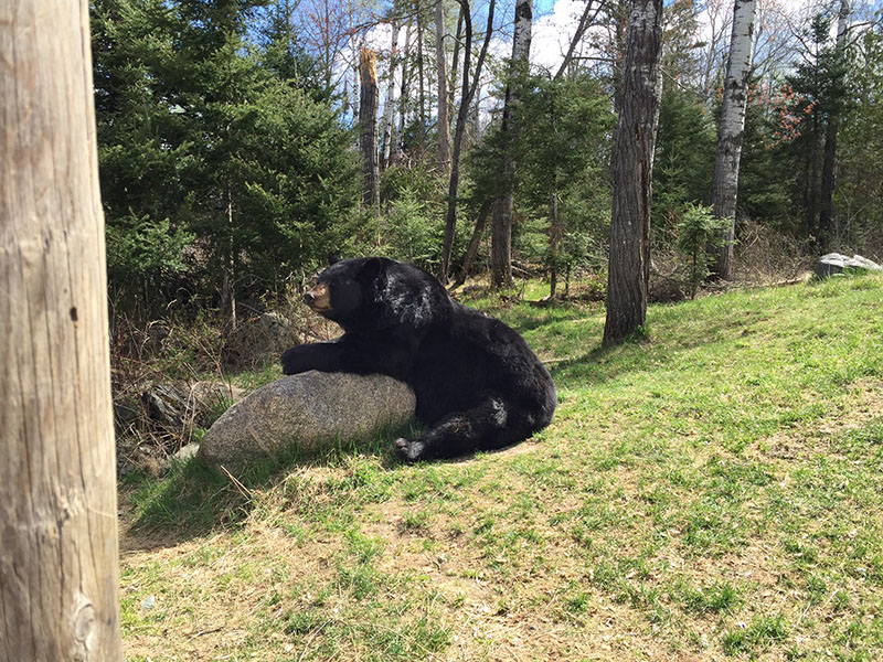 Ted sitting