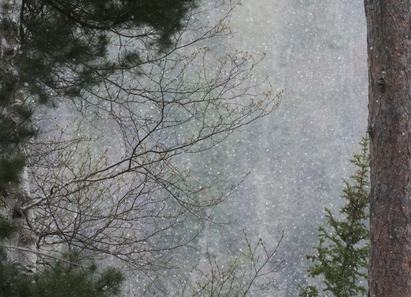 Snow over Woods Lake