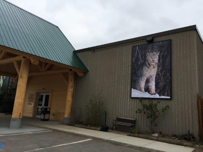 Lynx picture at NABC