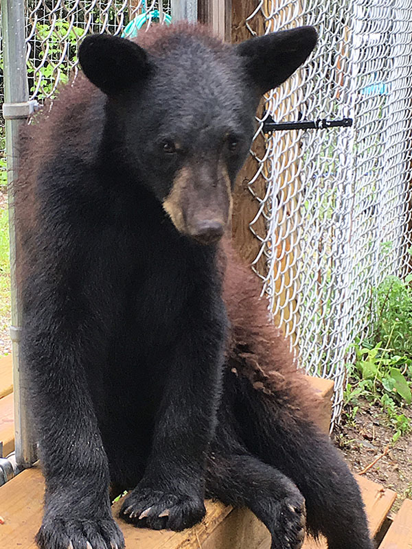 Tasha looking adorable