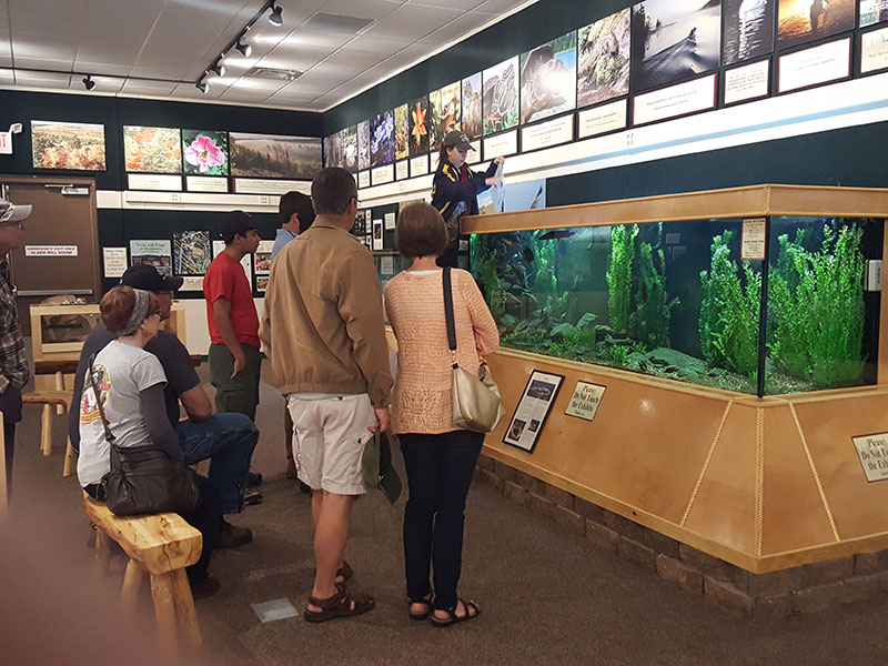 Feeding time for the fish