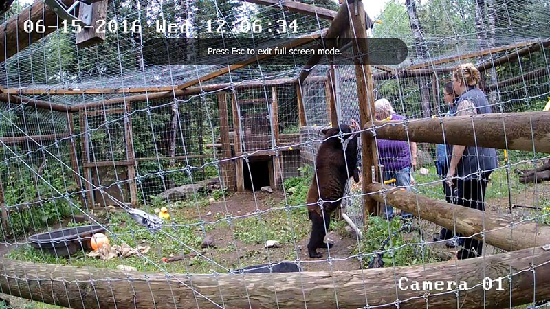 Tasha and NABC Staff