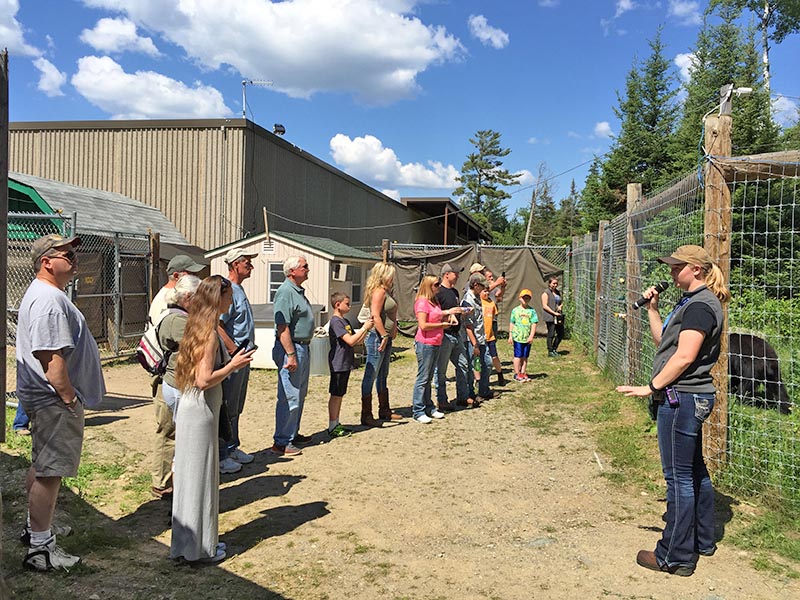 Behind-the-scenes amplified