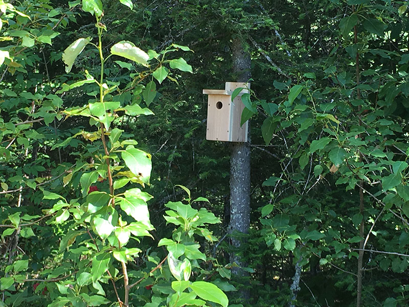 Bird house
