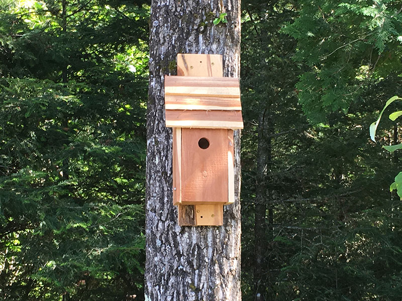Bird house