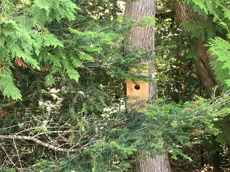 Bird house