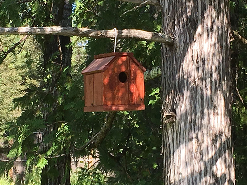 Bird house