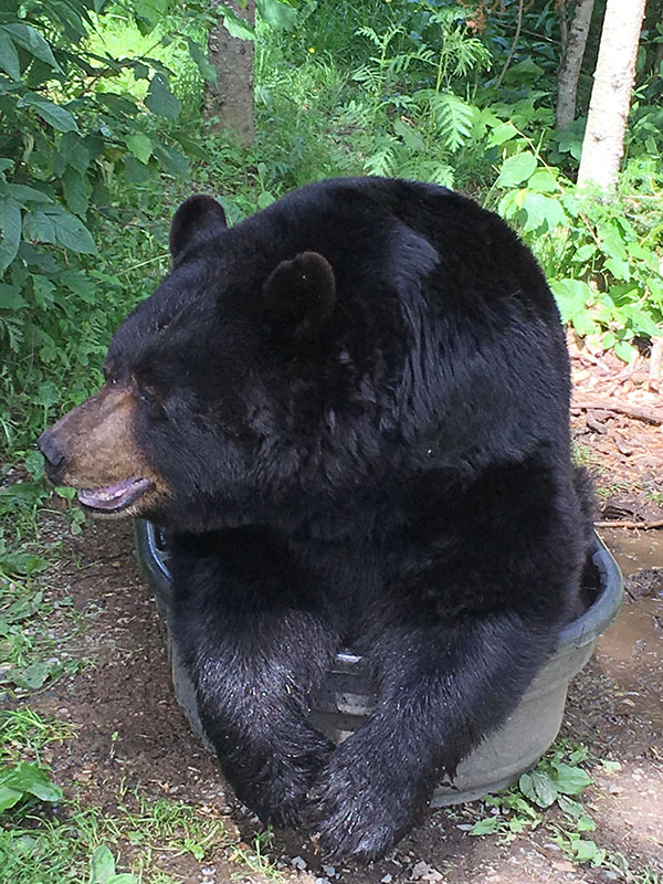 Ted in a tub