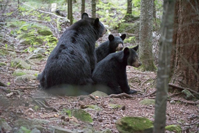 RC, Ohio and Valentine