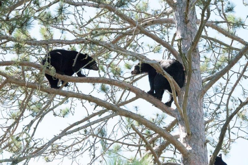 Curtis and Fern's 3-hour standoff