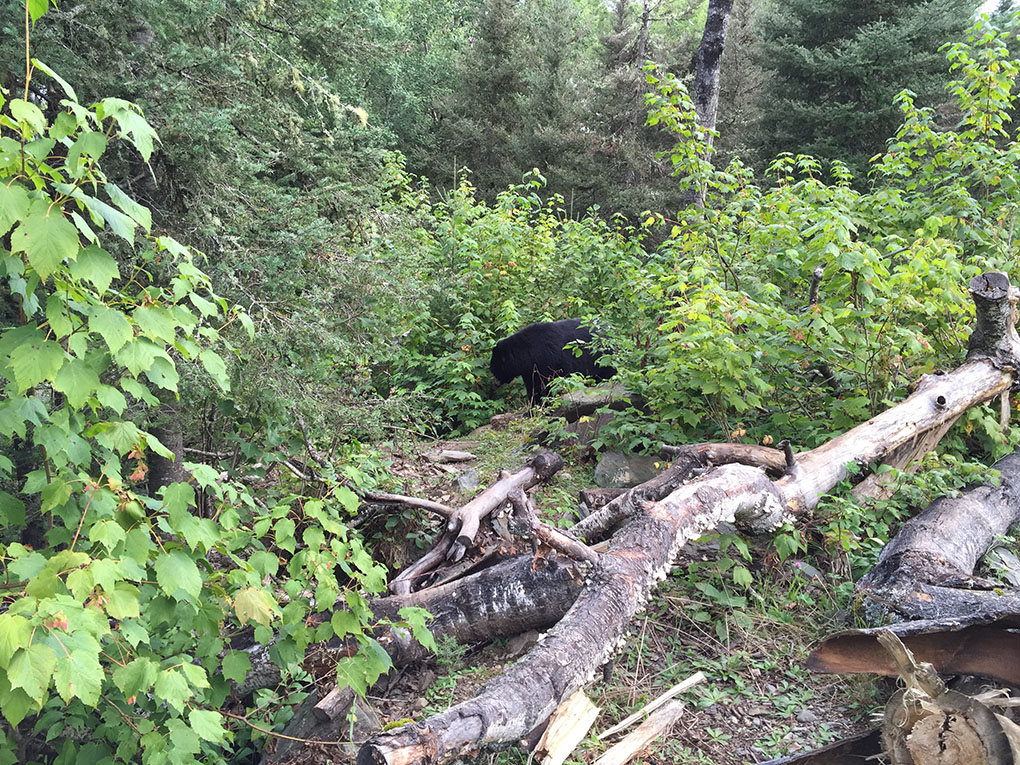 Holly before breakfast