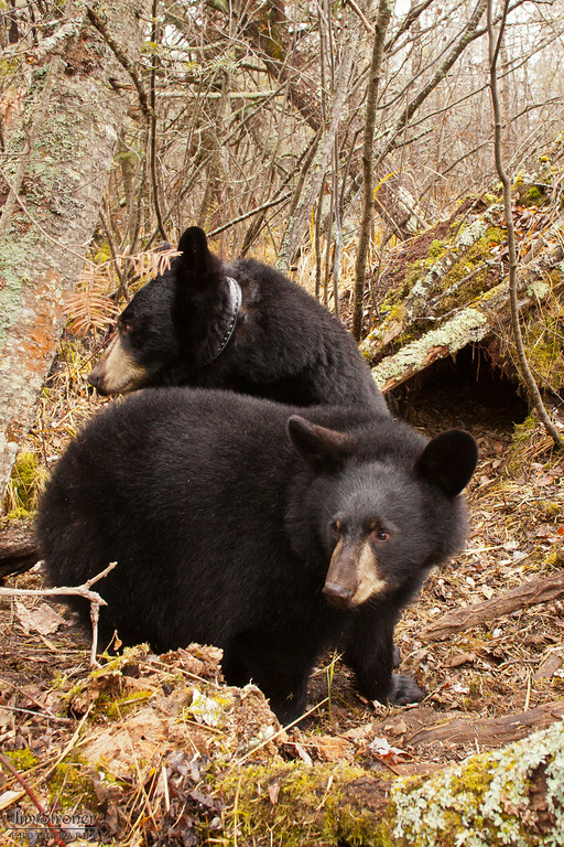 Lily and Hope on October 25, 2010