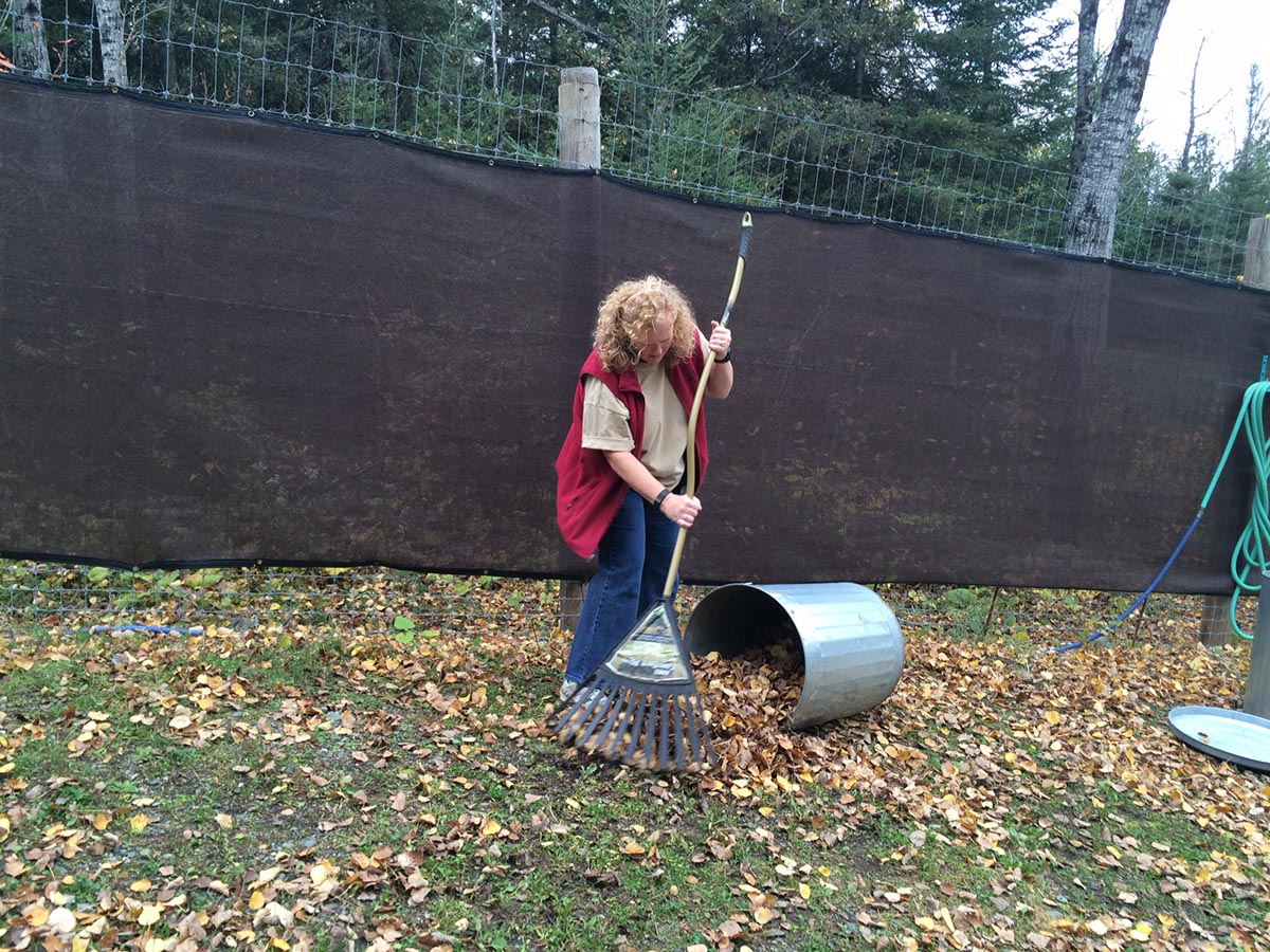 Lori raking leaves