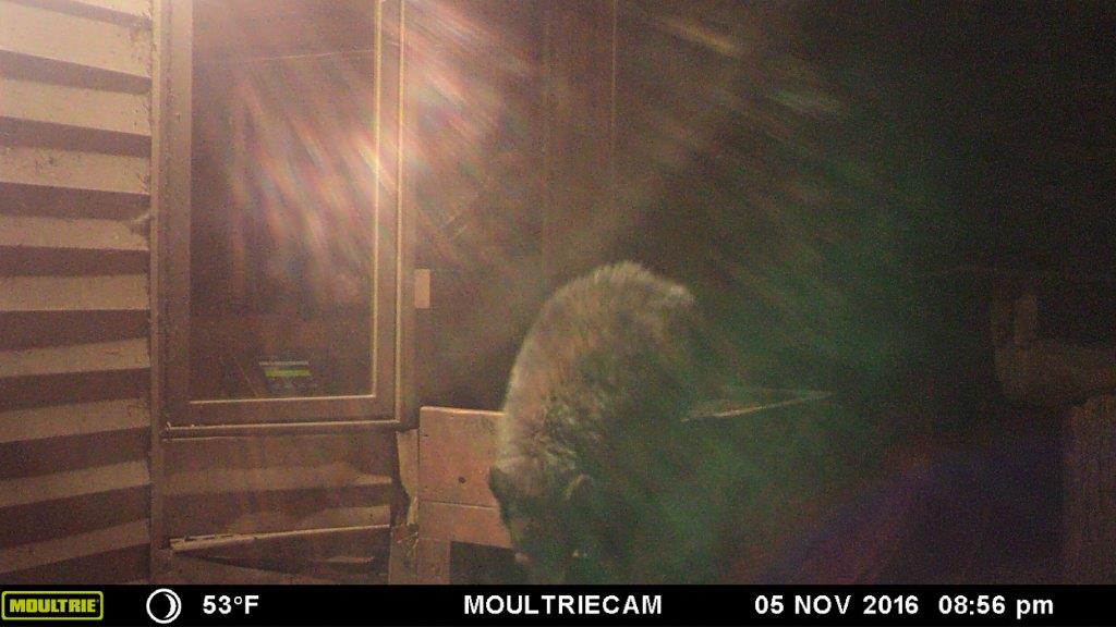 Quill 8:56 pm 11/5/16