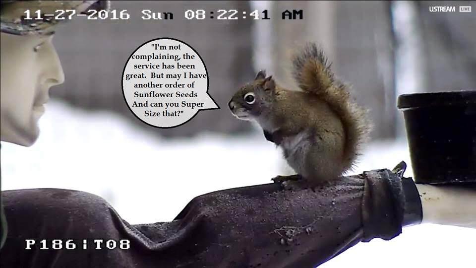 Manny and squirrel