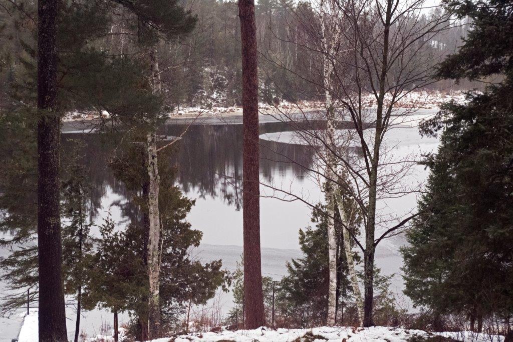 Woods lake