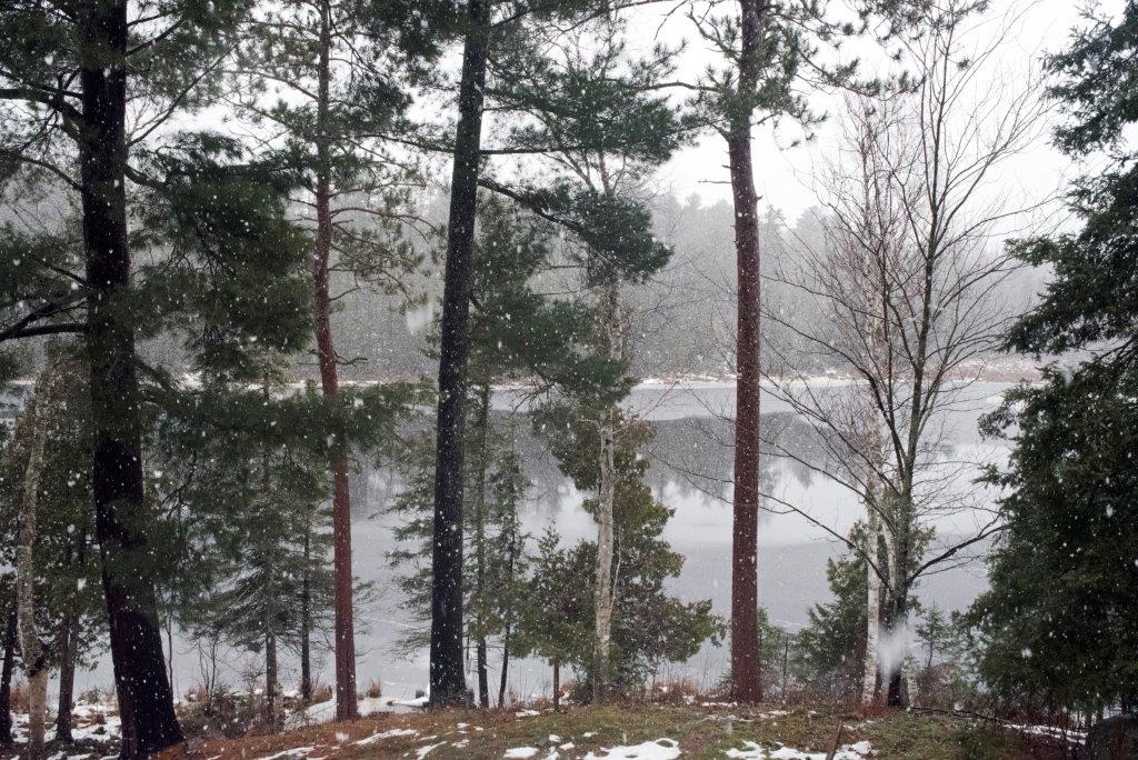 Woods Lake