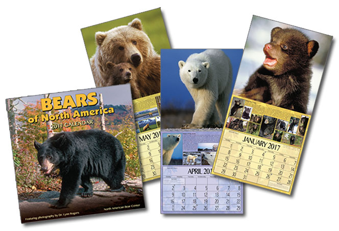 2017 Calendar still available