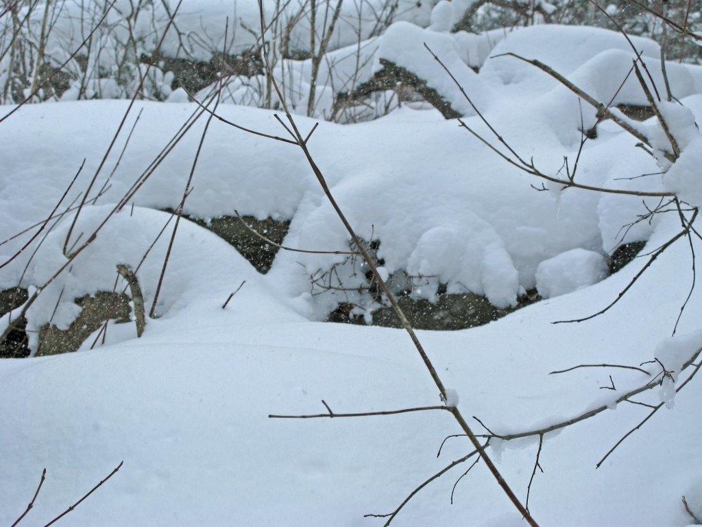 Tasha's den from a distance