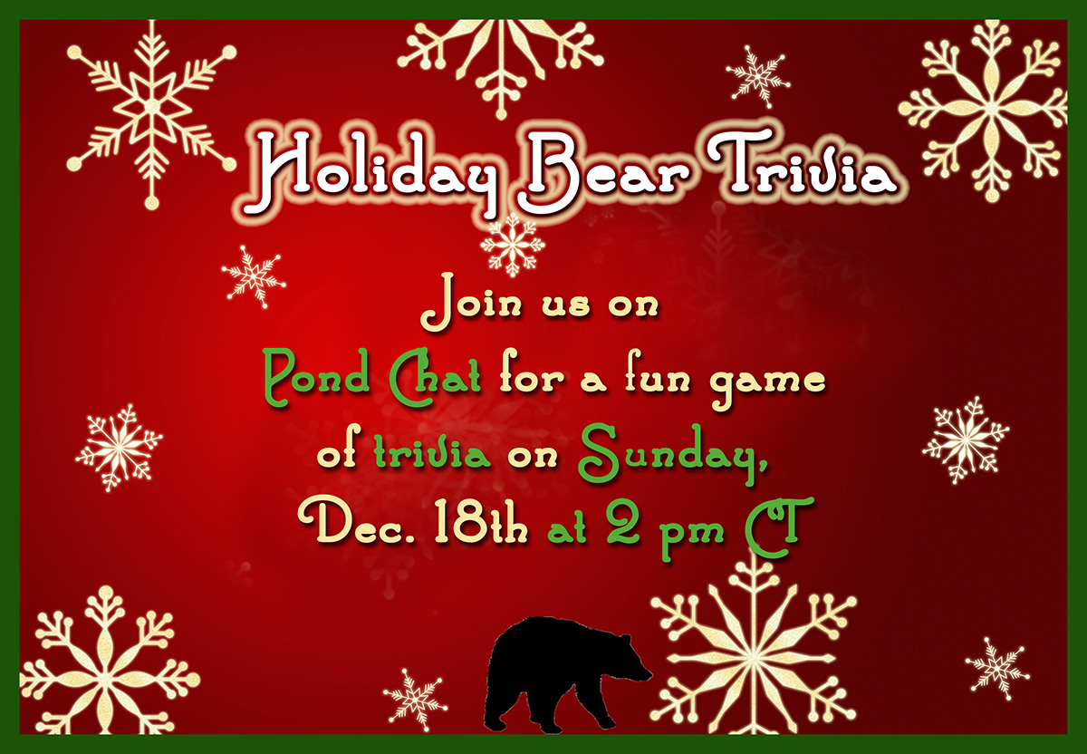 Holiday Bear Trivia