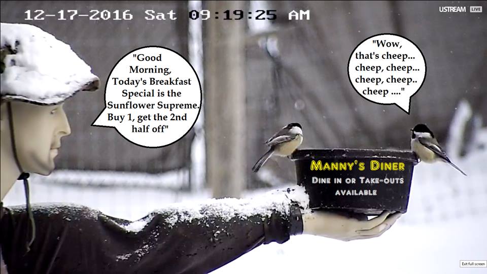 Manny