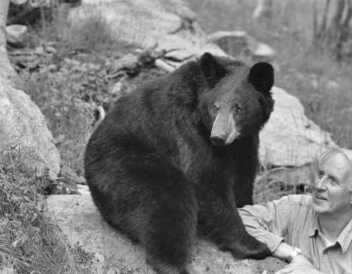 Lynn and Gerry on Grandfather Mountain on 10/15/93