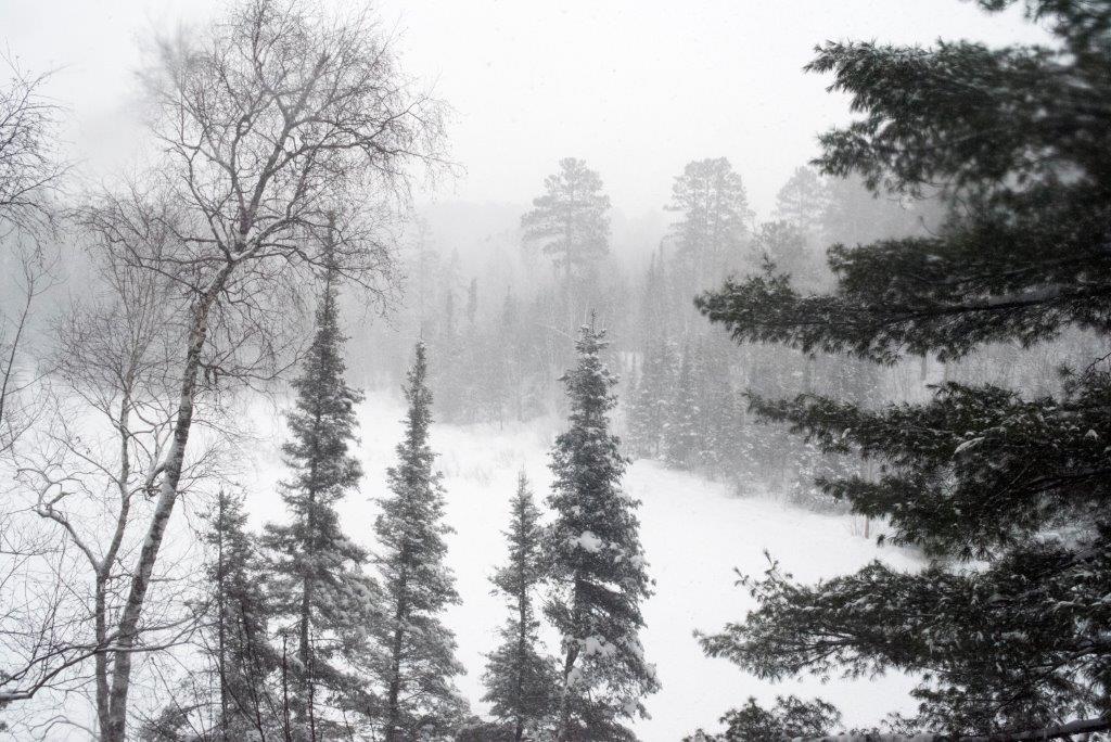 Woods lake in snow