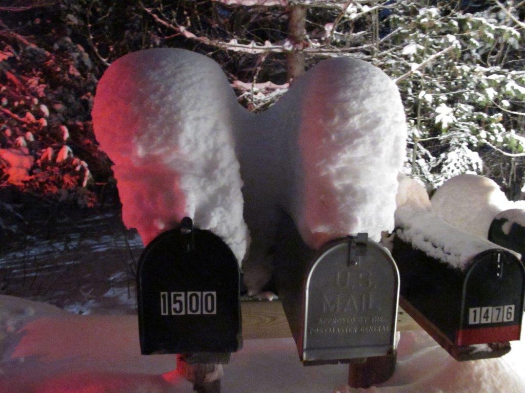 Mailboxes on Trygg