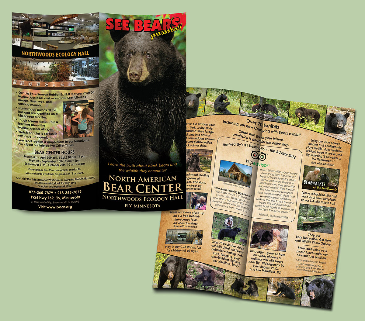 NABC Rack Card New Design