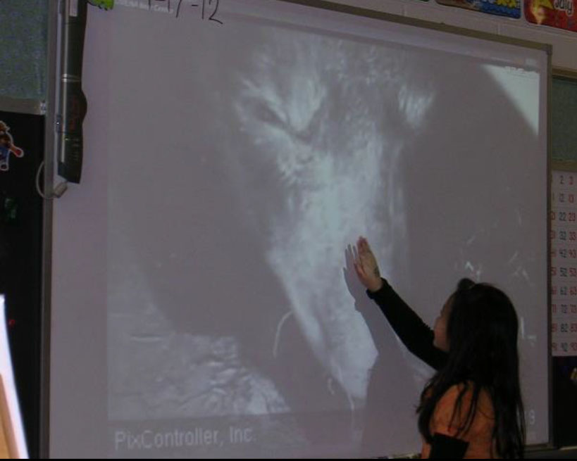 Classroom - learning about bears