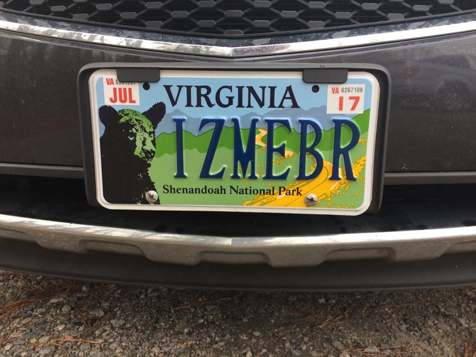 Lily Fan license plate