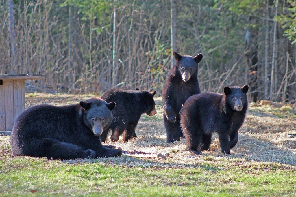 Fern and her family