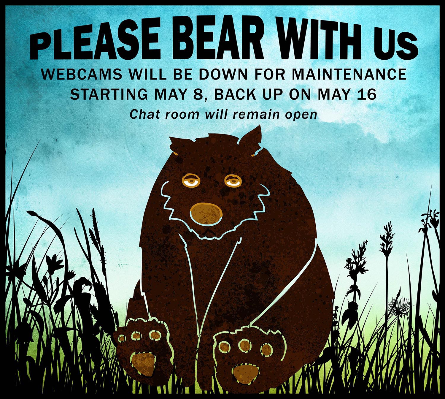 Webcams down