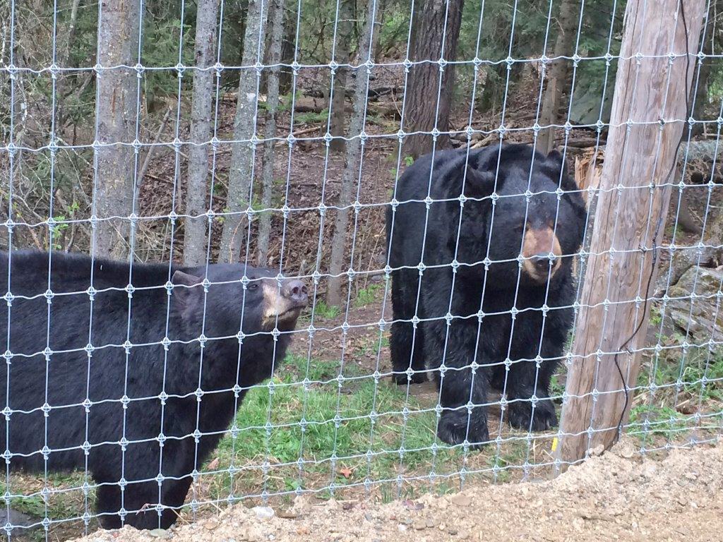 Holly and Ted