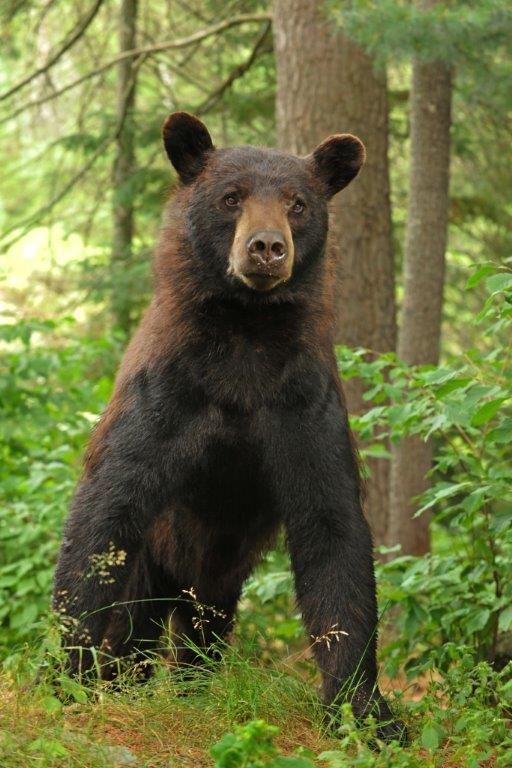 Crackle on Aug. 9, 2013